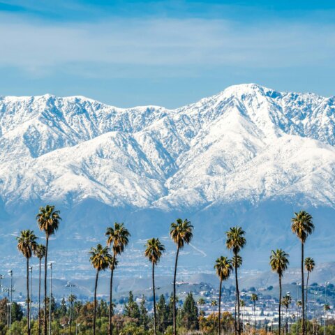 Black Dragon Capital℠ Broadens Strategic FinTech Partnerships with AltaOne Federal Credit Union