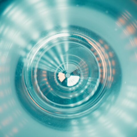 Black Dragon Capital℠ and Premier Payments Credit Union Service Organization (CUSO) Velera Join Forces in Seeking Innovative Technologies  