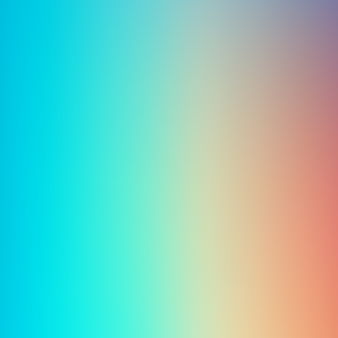 Donec et purus at dolor